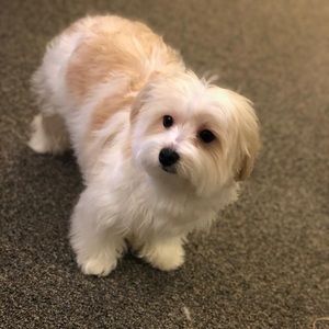 Meet your Posher, Tania